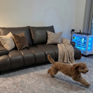 Povison Review Photos
