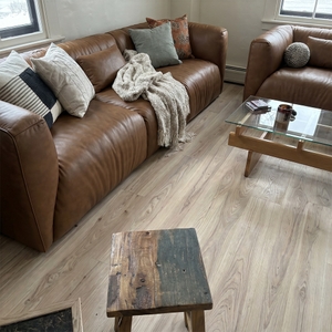 Povison Review Photos