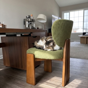 Povison Review Photos