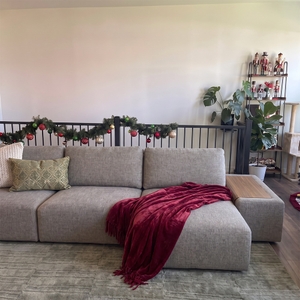 Povison Review Photos