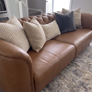 Povison Review Photos