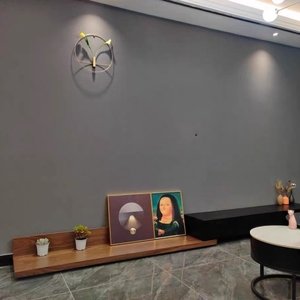 Povison Review Photos