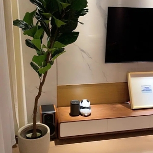 Povison Review Photos