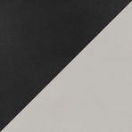 Black & Light Gray