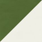Green & Beige