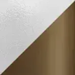 Transparent & Bronze