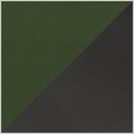 Gray & Green