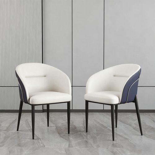 Modern Upholstered Dining Chairs Set of 2