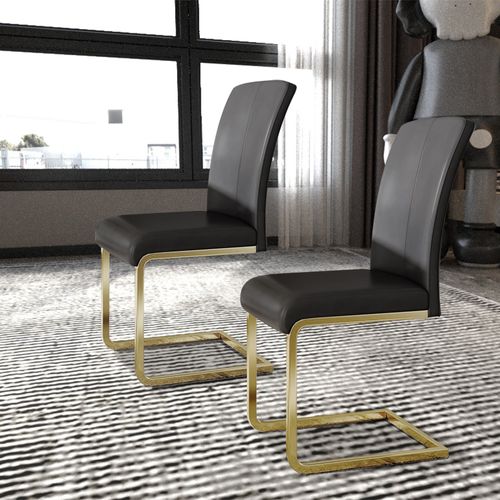 Modern Luxury Leather Dining Chairs Set of 2