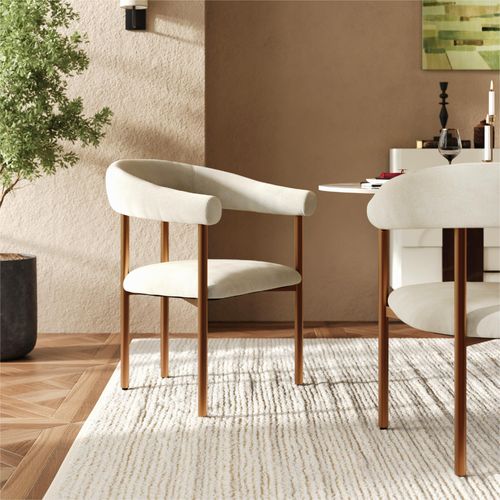 Modern Upholstered Armrest Dining Chairs
