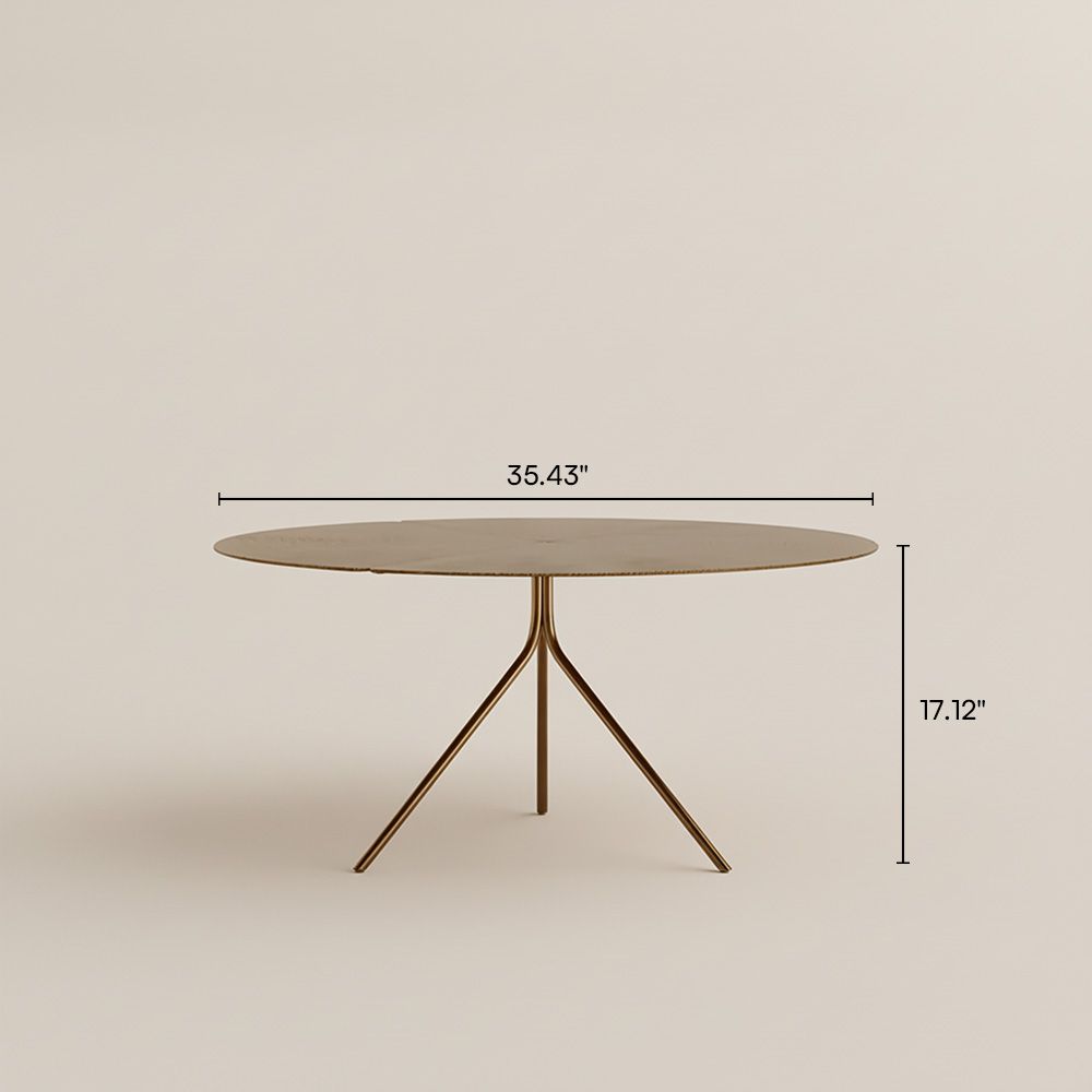 Metal Leg Brown Coffee Tables