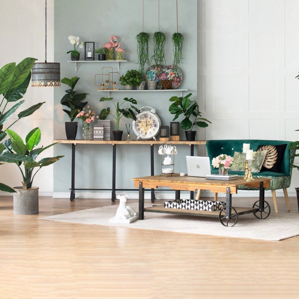 Multicolor Plastic Home Accessories