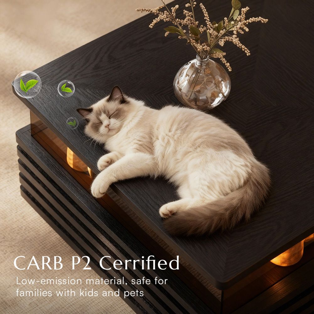 Slatted Design Black Engineered Wood Coffee Tables