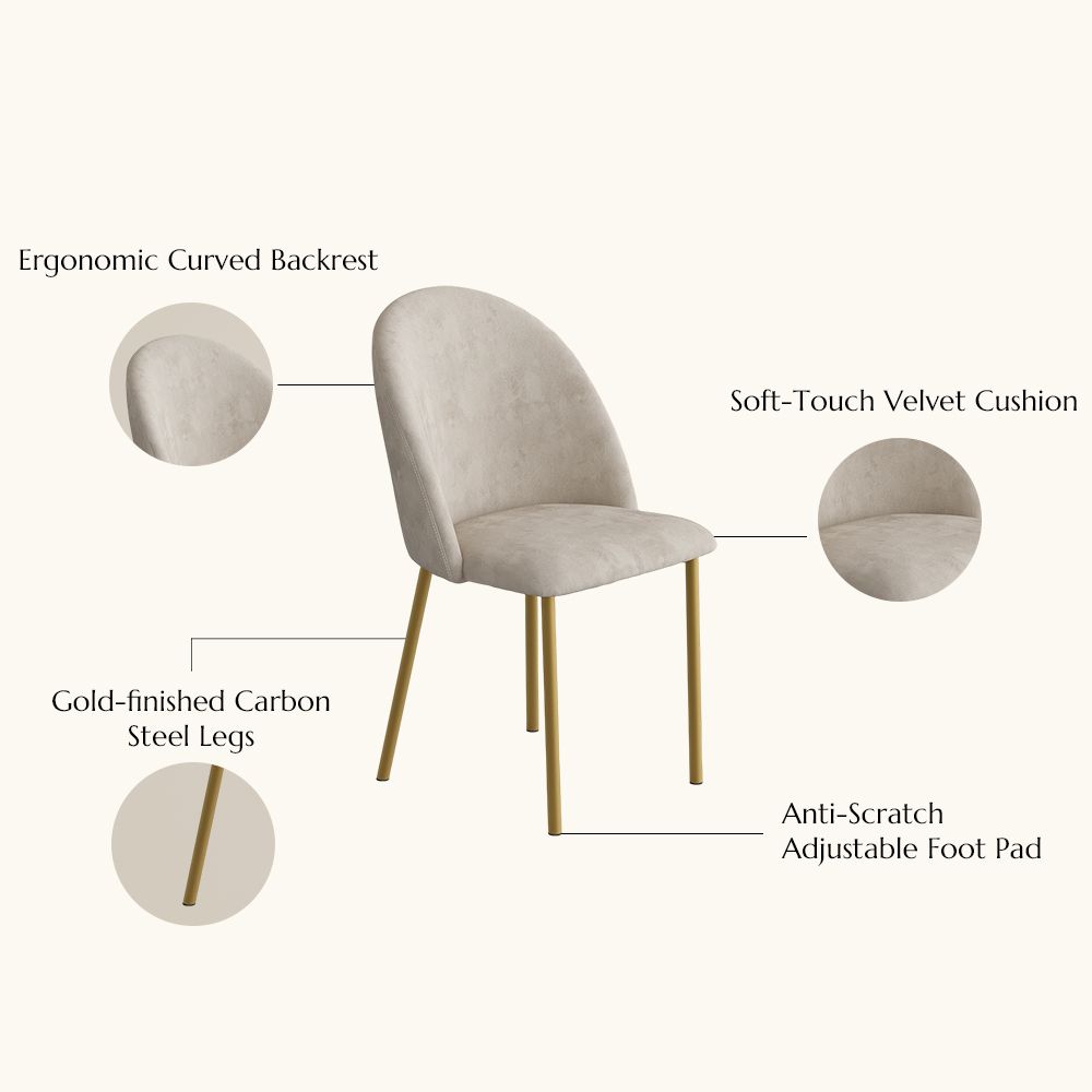Side Chair Beige & Gold Velvet Dining Chairs