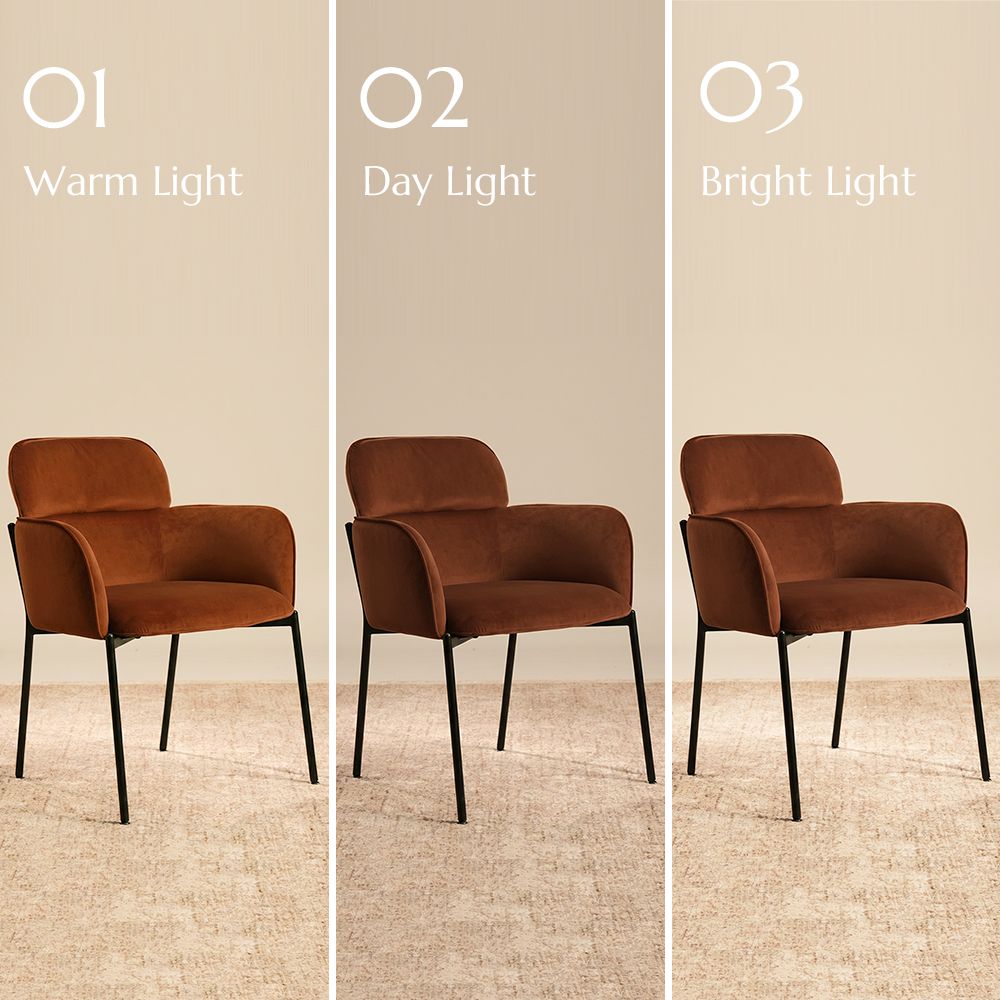 Armchair Brown Velvet Dining Chairs