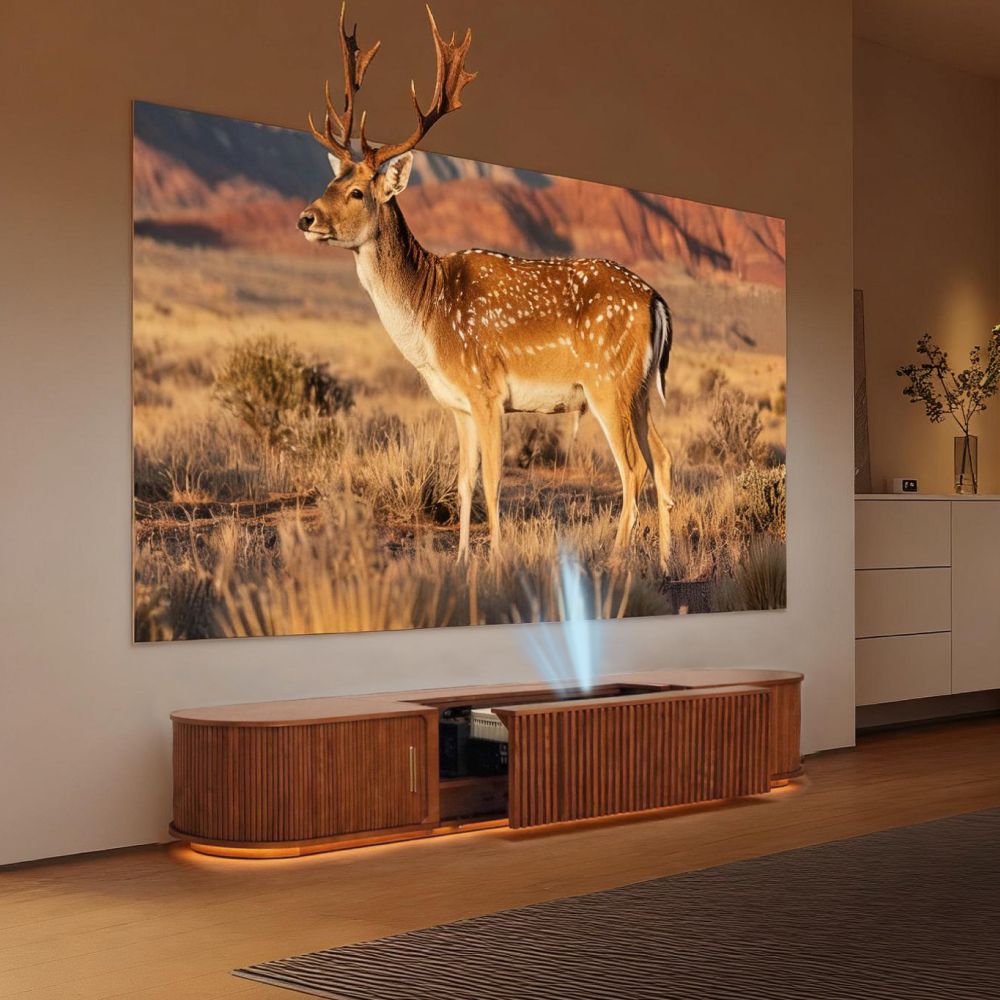 UST Projector Cabinet