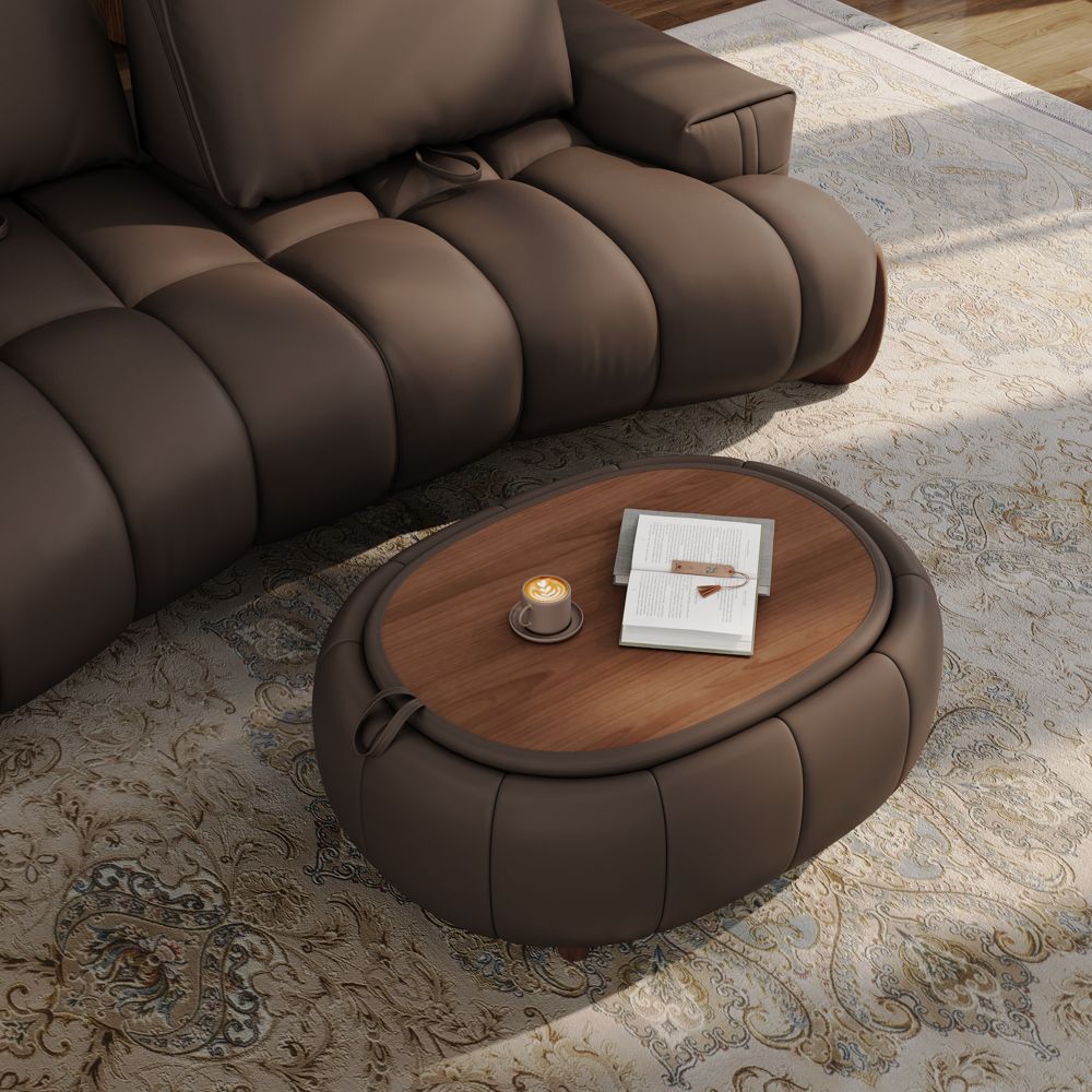 Living Room Dark Brown Leather Modular Sofas