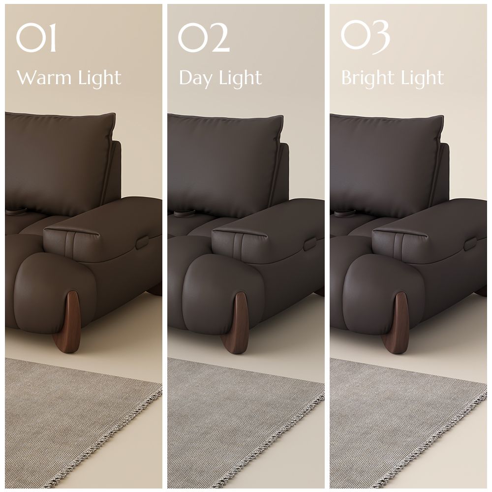 Living Room Dark Brown Leather Modular Sofas