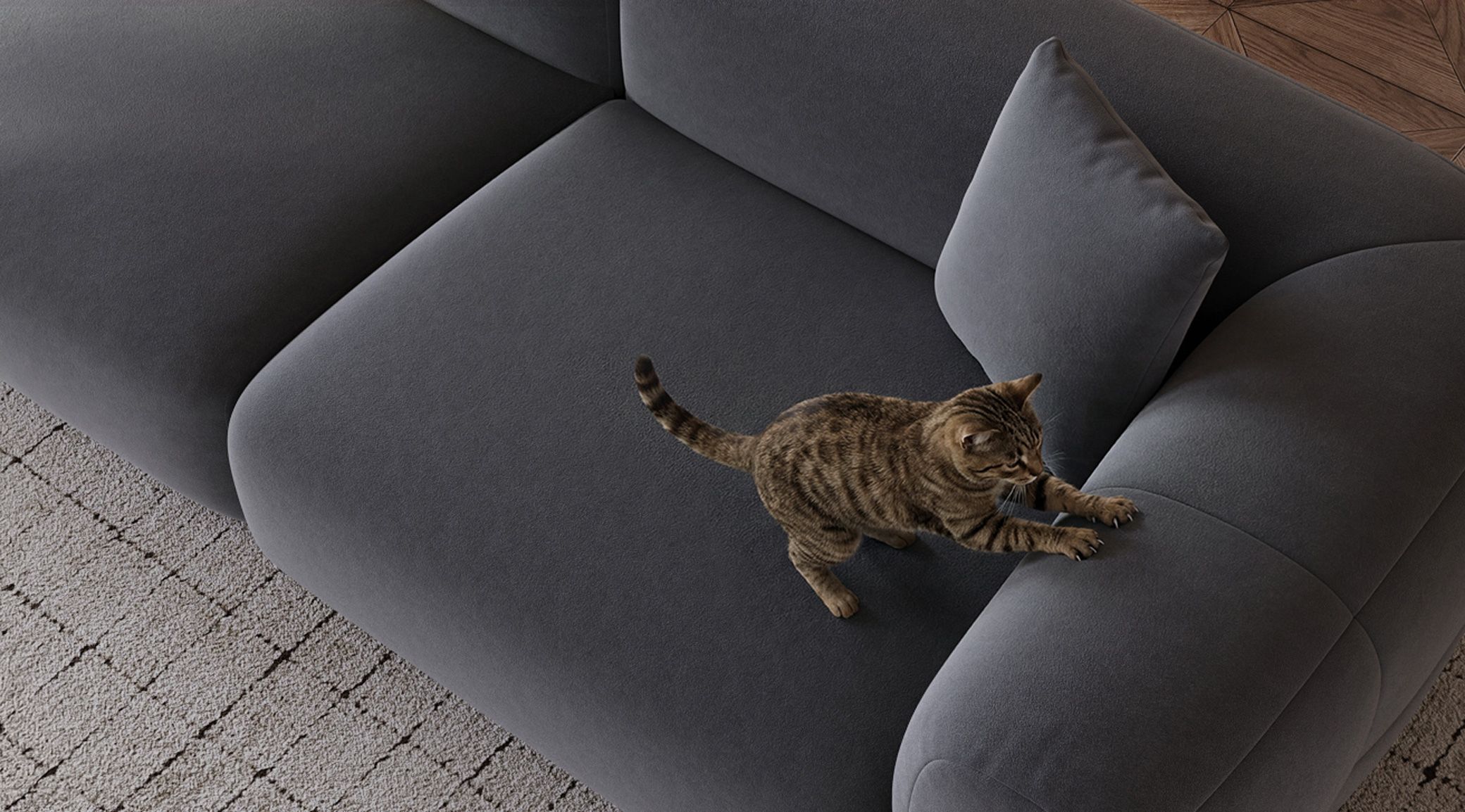 Scratch-Resistant & Pet-Friendly