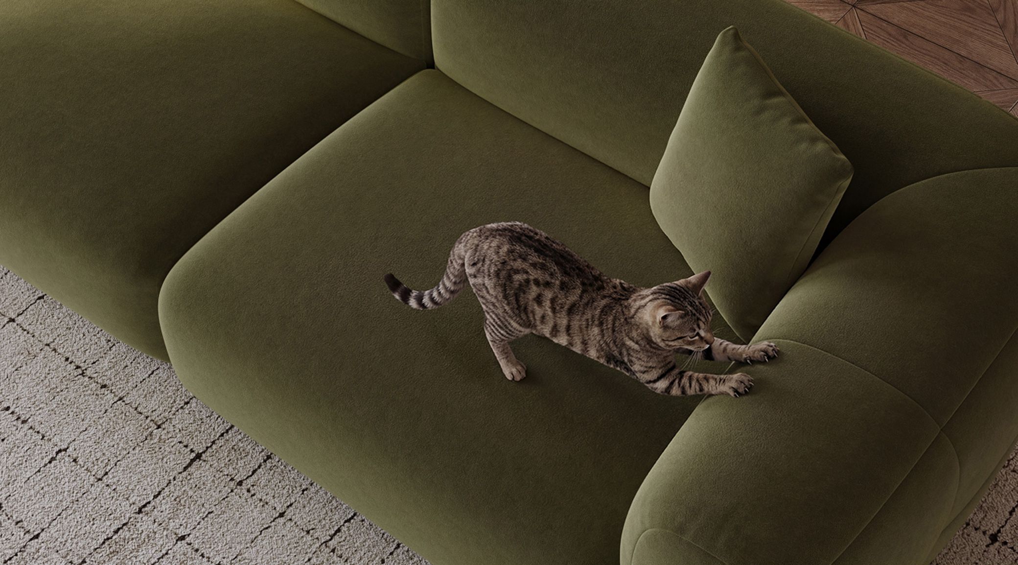 Scratch-Resistant & Pet-Friendly