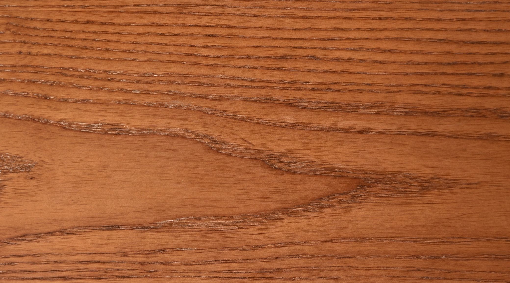 The Art of Organic Texture