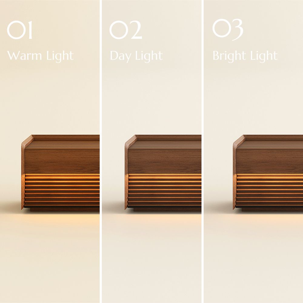Modern Walnut Color Living Room Set