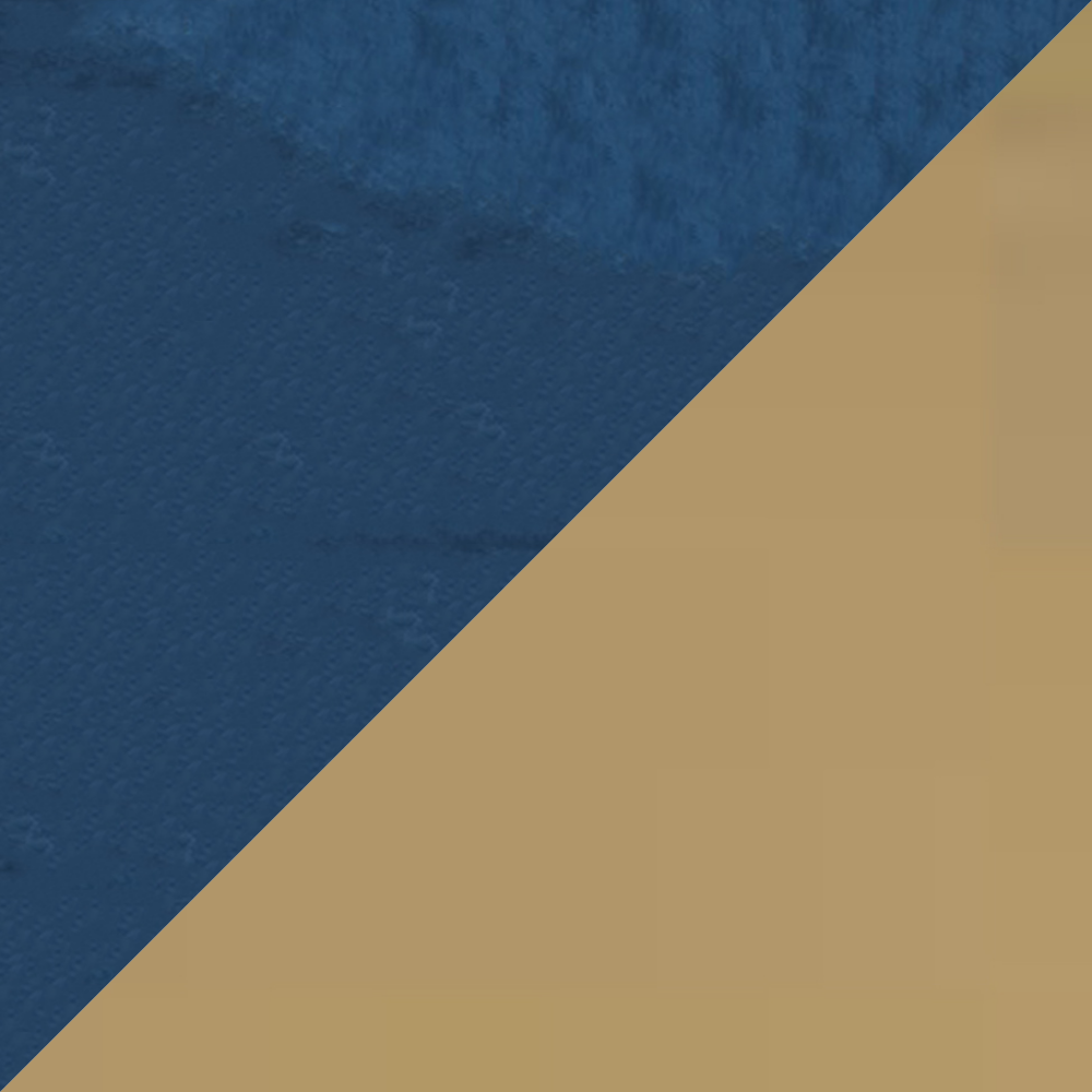 Blue & Gold