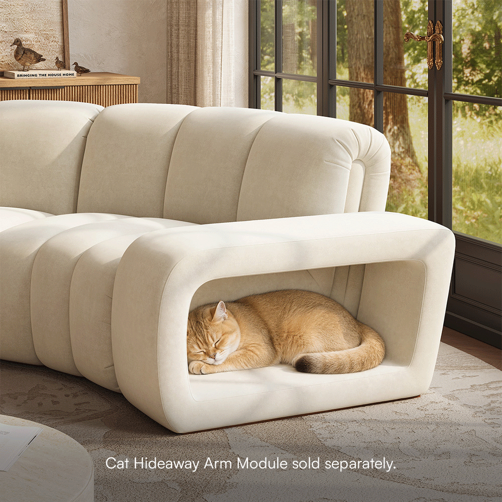 Pet-Friendly Fabric Beige Pet-Friendly Fabric Modular Sofas