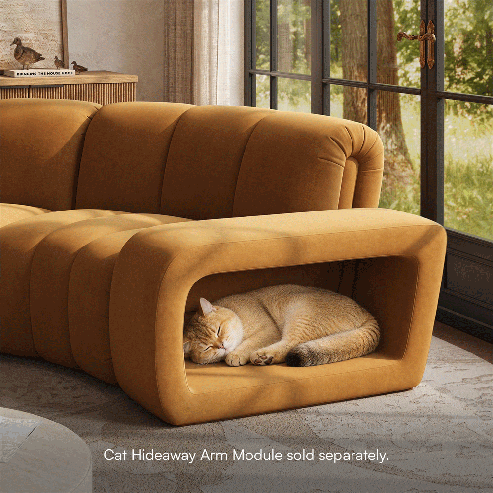 Scratch-Resistant Brown Pet-Friendly Fabric Modular Sofas