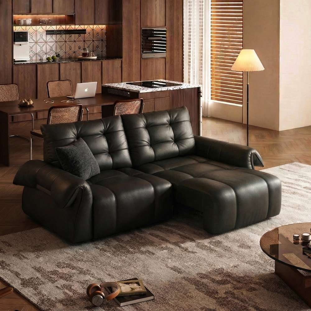 Cygnus-Power Sofa Bed